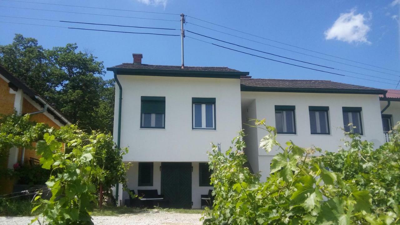 Ferienhaus Szapary II Eisenberg an der Pinka Exterior photo